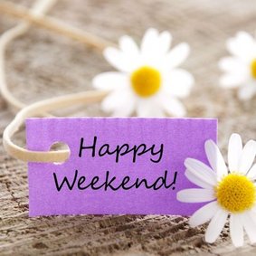 Gänseblümchen mit lila Happy-Weekend-Schild