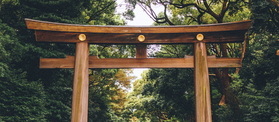 Traditionelles japanisches Tor aus Holz im Wald.